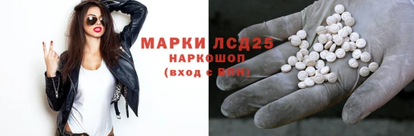 прущие грибы Балабаново