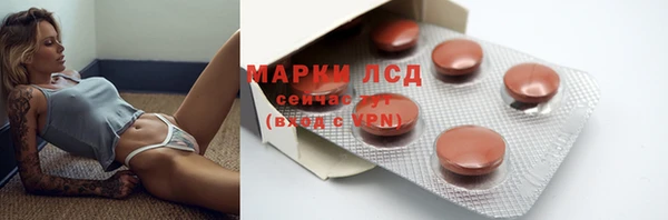 прущие грибы Балабаново