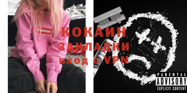 прущие грибы Балабаново