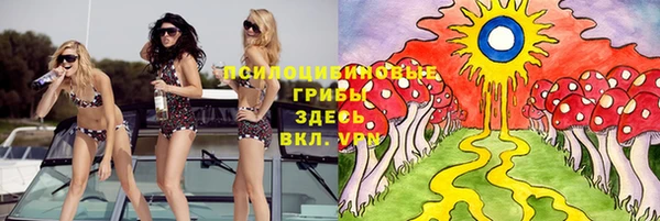 прущие грибы Балабаново