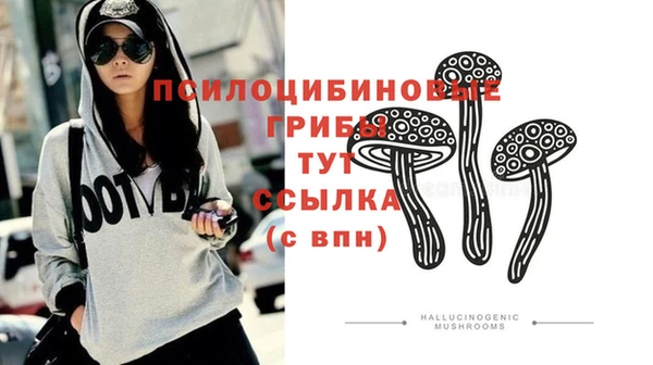 а пвп мука Баксан