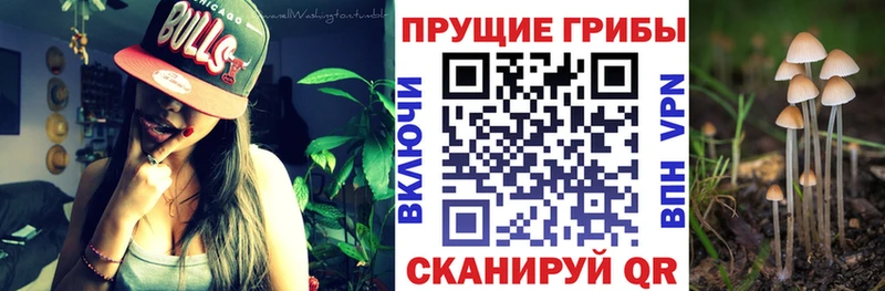 mega маркетплейс  Обь  Псилоцибиновые грибы мицелий  купить наркотик 